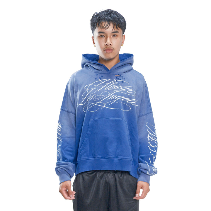BLUEBERRY HOODIE