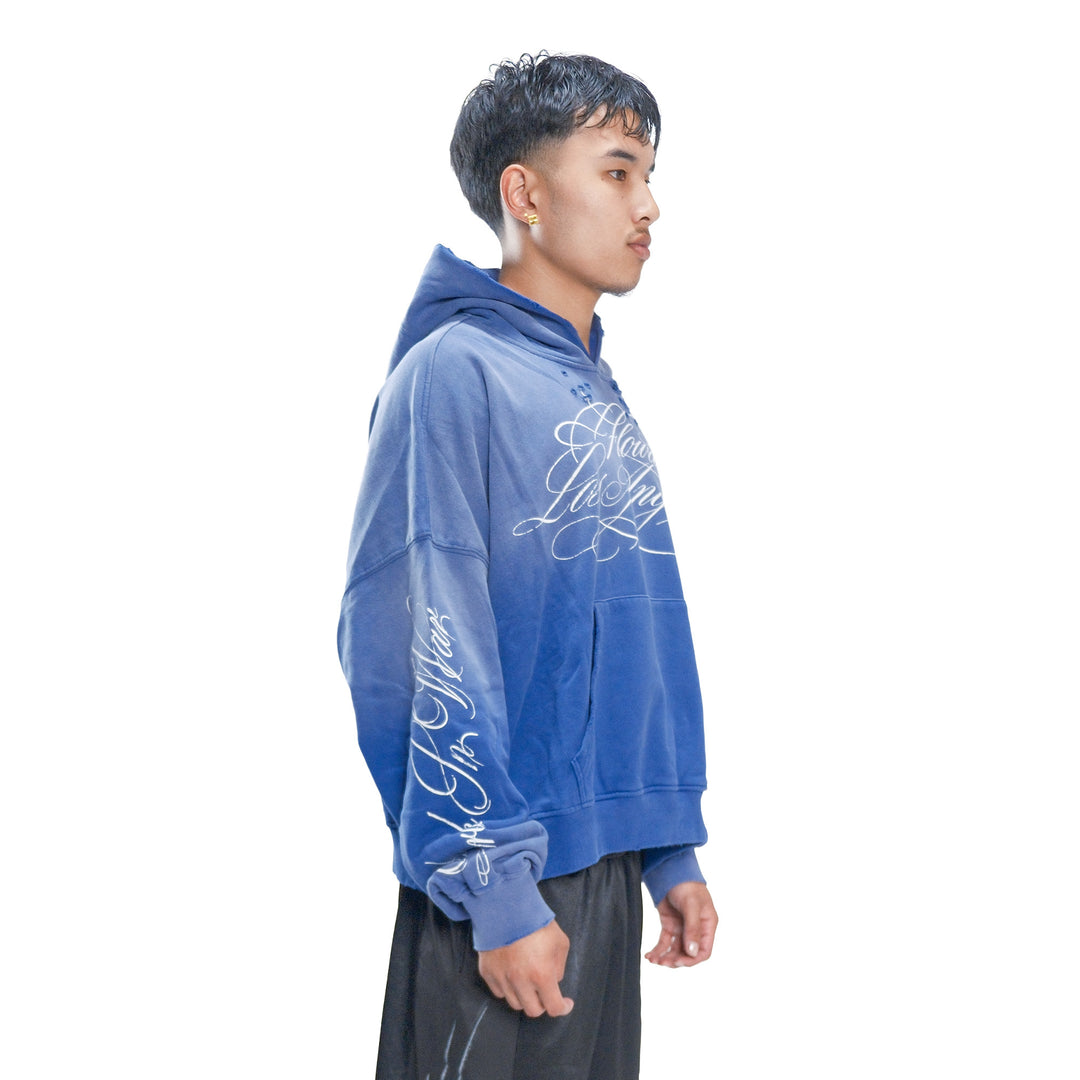 BLUEBERRY HOODIE