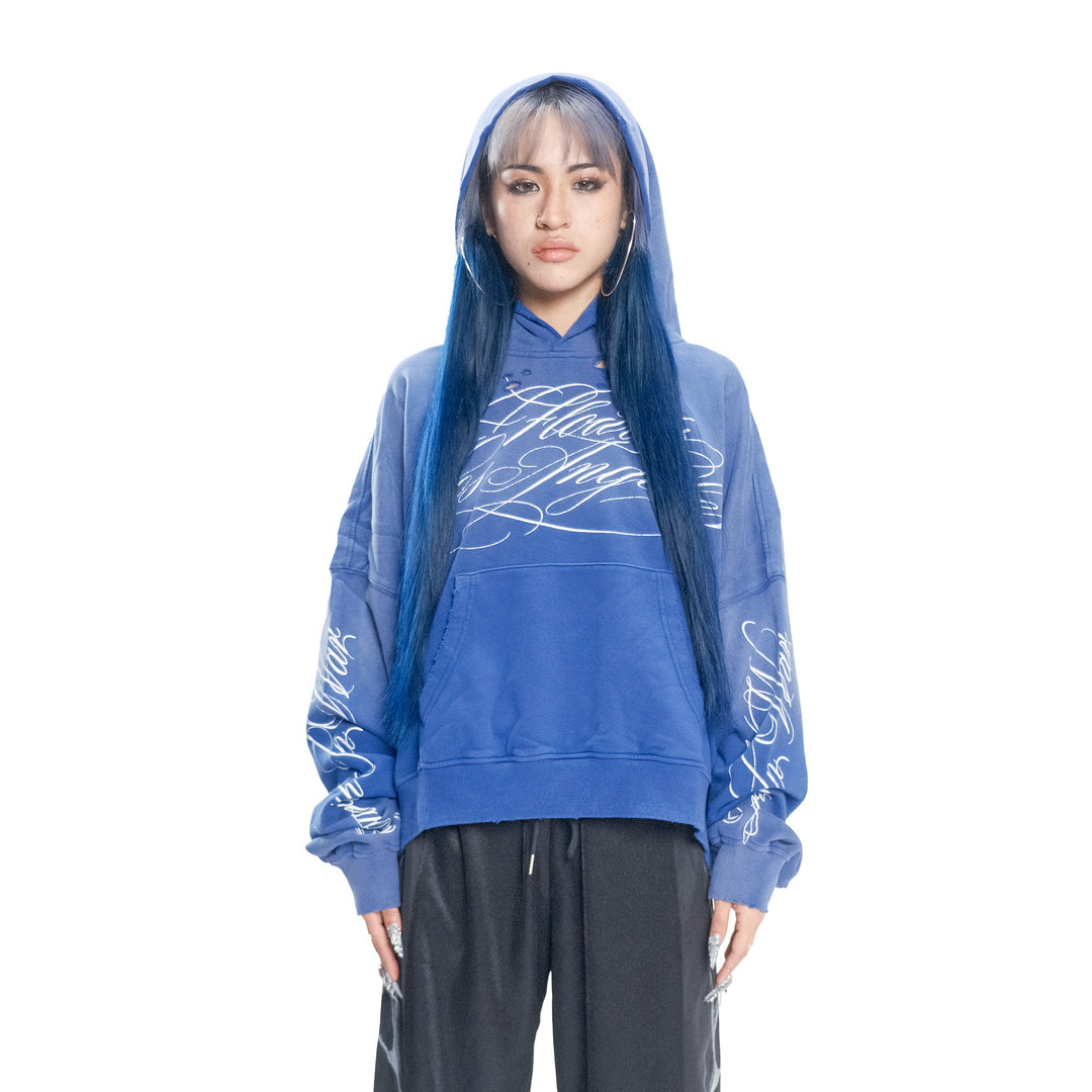 BLUEBERRY HOODIE