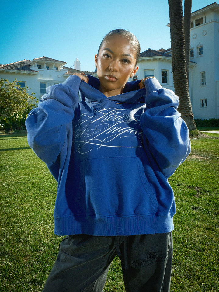 BLUEBERRY HOODIE