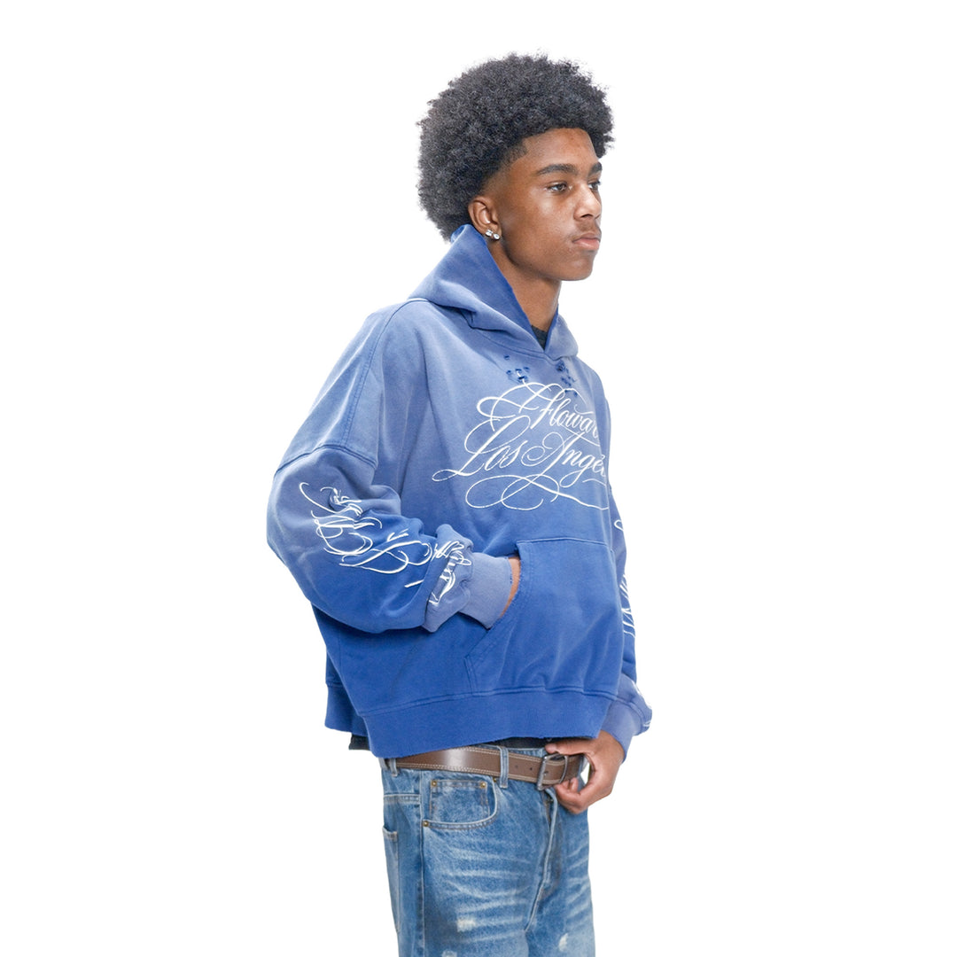 BLUEBERRY HOODIE