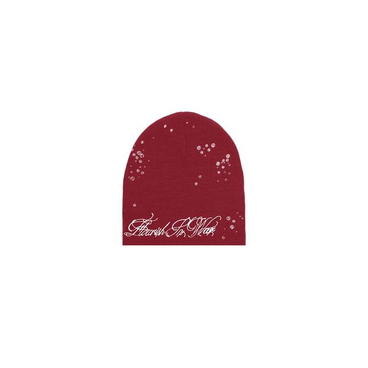 RAINDROP BEANIE (WINE)