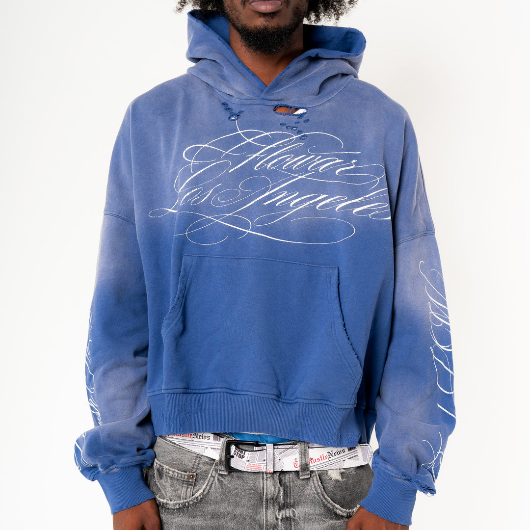 BLUEBERRY WASH HOODIE