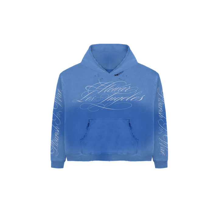 BLUEBERRY WASH HOODIE