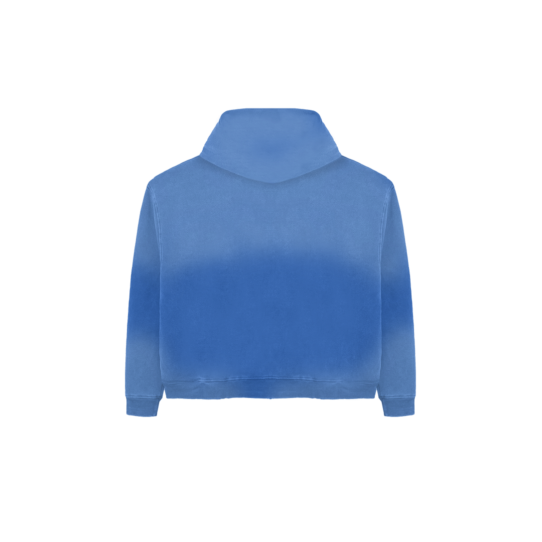 BLUEBERRY WASH HOODIE
