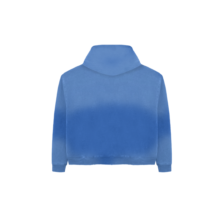 BLUEBERRY WASH HOODIE