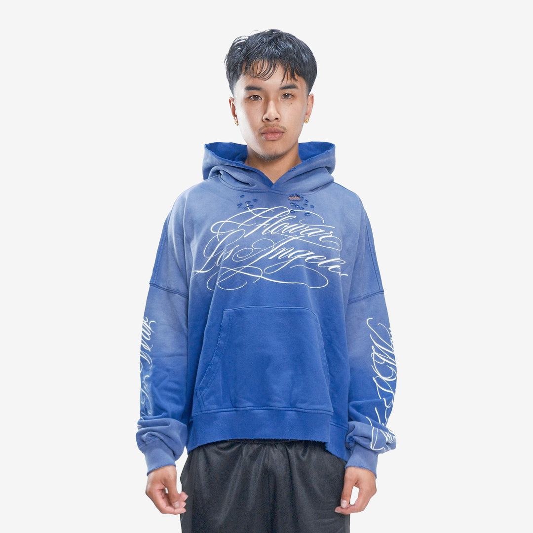 BLUEBERRY HOODIE