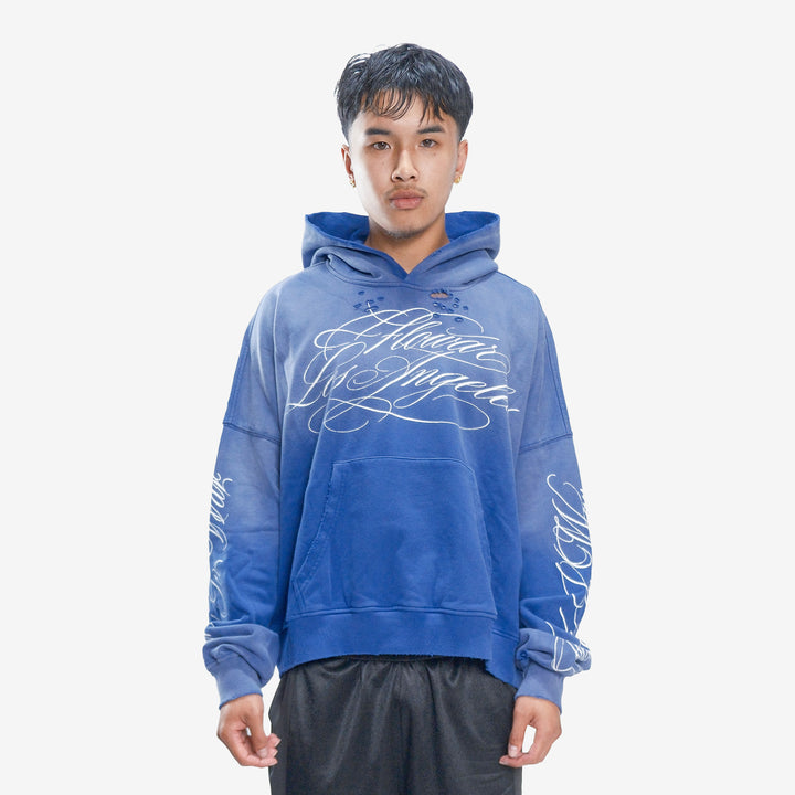 BLUEBERRY HOODIE