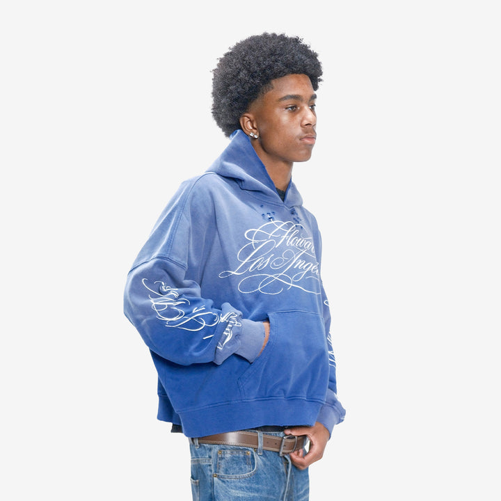BLUEBERRY HOODIE
