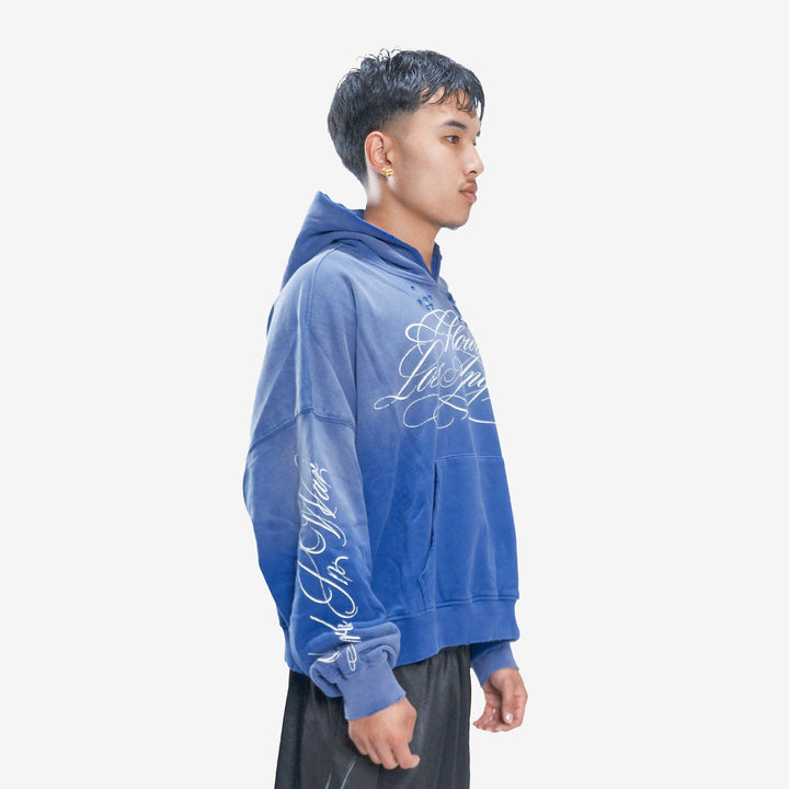 BLUEBERRY HOODIE
