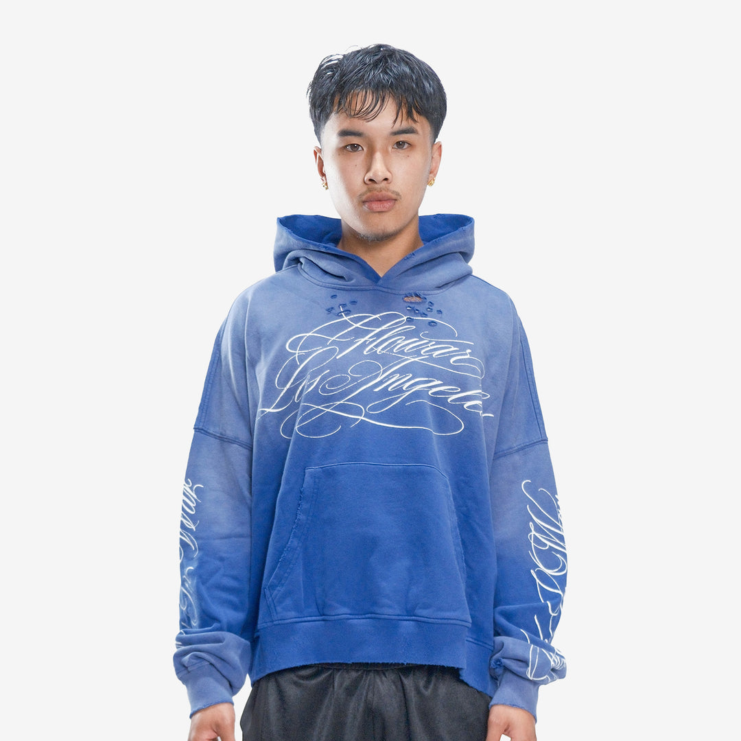 BLUEBERRY HOODIE