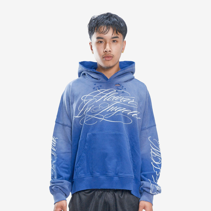 BLUEBERRY HOODIE