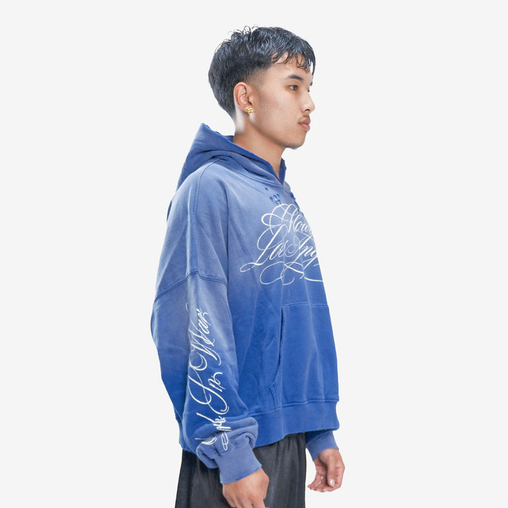 BLUEBERRY HOODIE