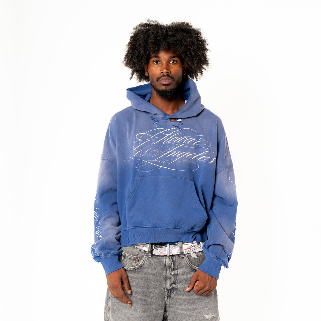 BLUEBERRY WASH HOODIE