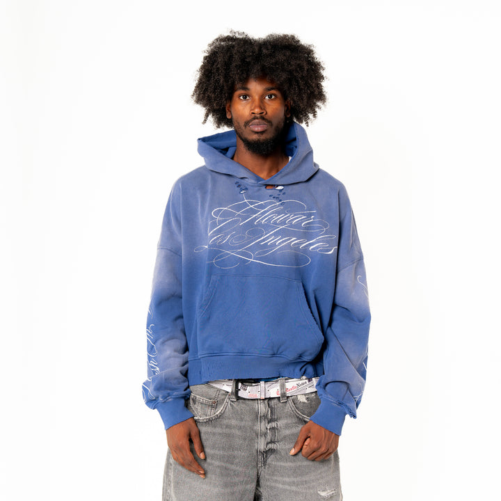 BLUEBERRY WASH HOODIE