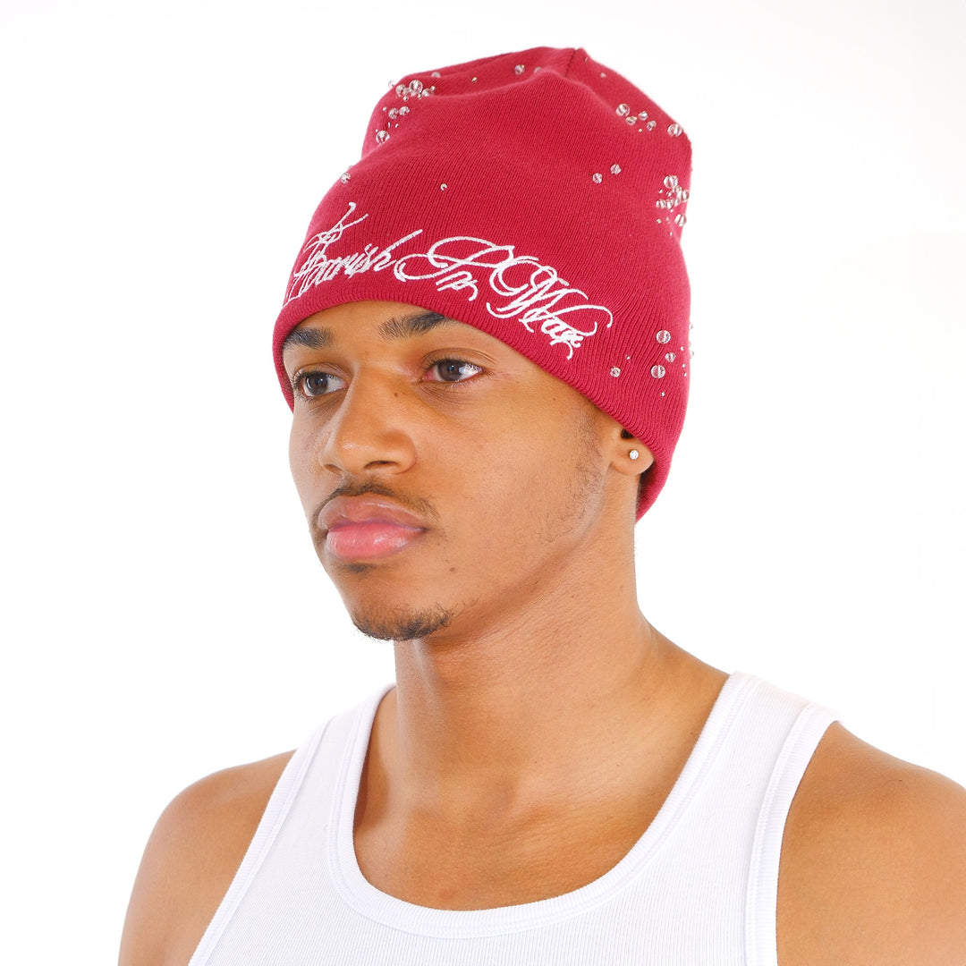 RAINDROP BEANIE (WINE)