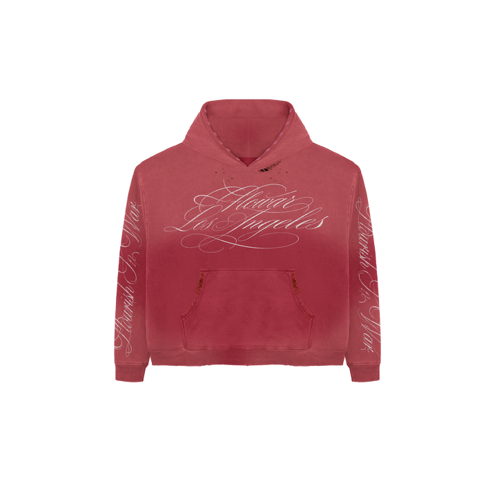 STRAWBERRY WASH HOODIE